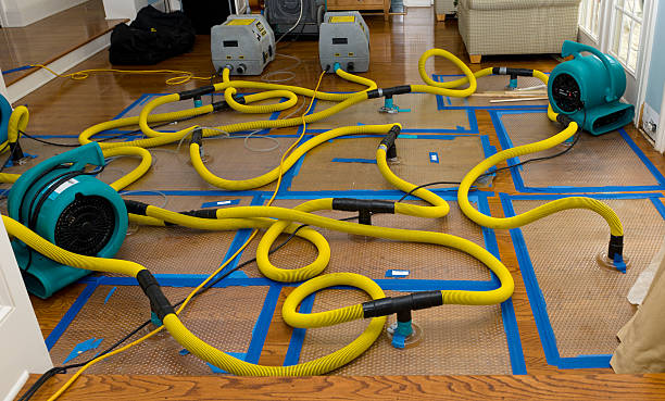 Professional Structural Drying And Dehumidification technician working in East Wakefield, NH